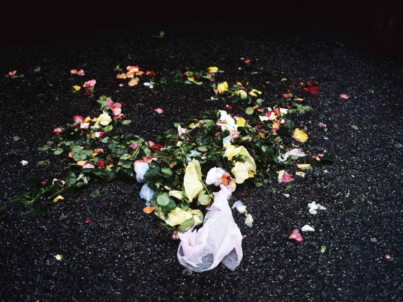 Discarded flower petals and a small plastic bag on asphalt paving