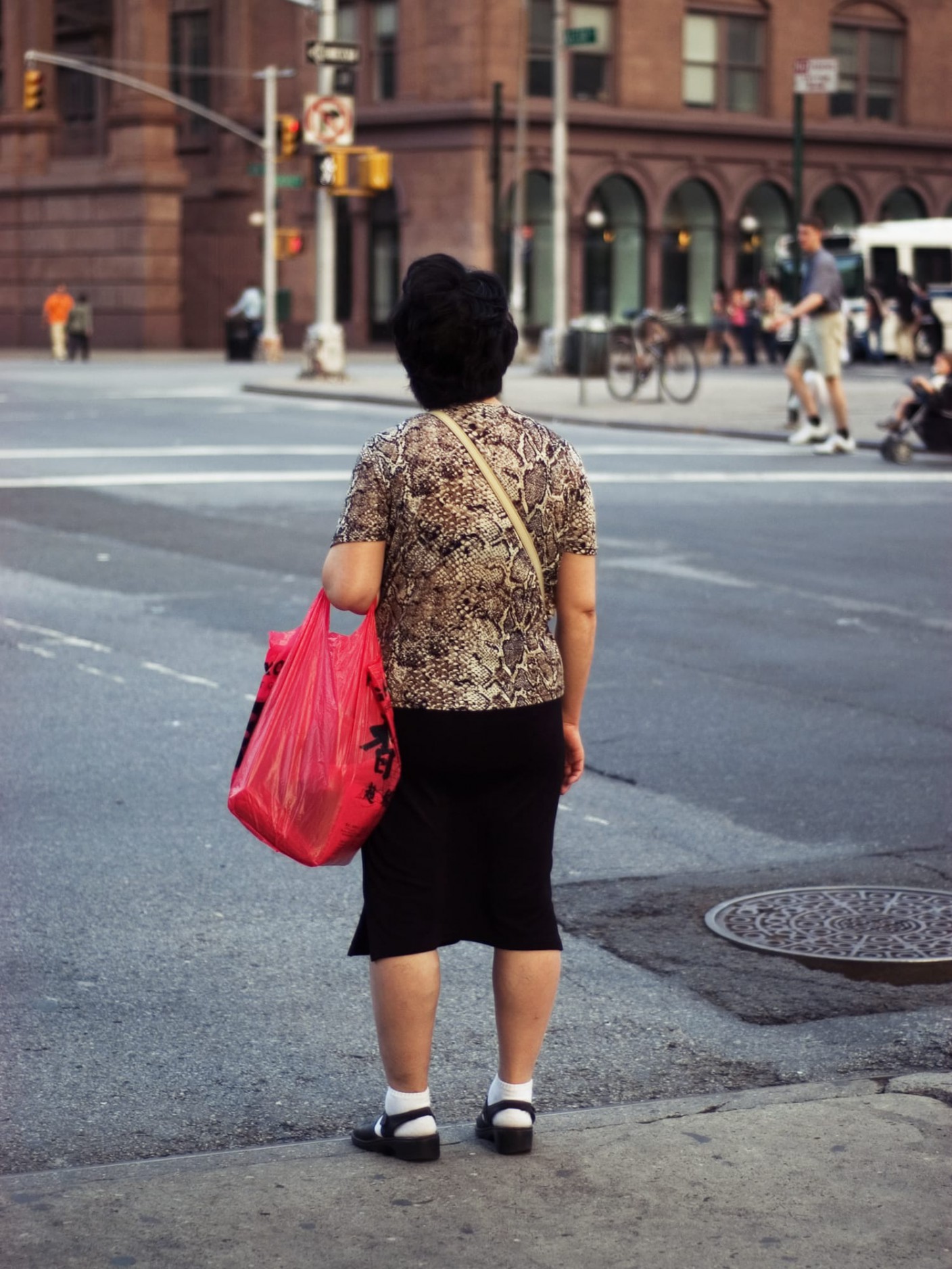 Portrait of a person on a sidewalk, carrying a red plastic bag, wearing an animal patterned shirt, seen from behind